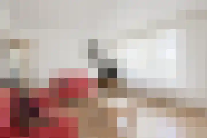 Slootsdijk 14 Ruurlo thumbnail 47