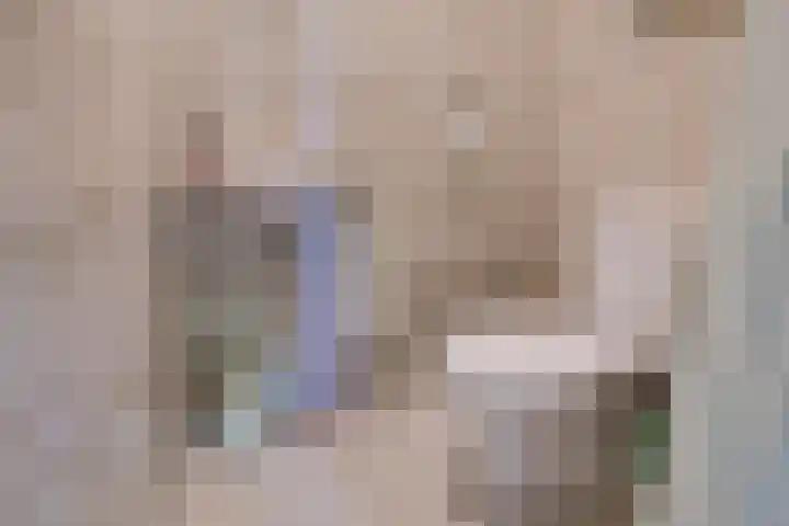 Slootsdijk 14 Ruurlo thumbnail 63