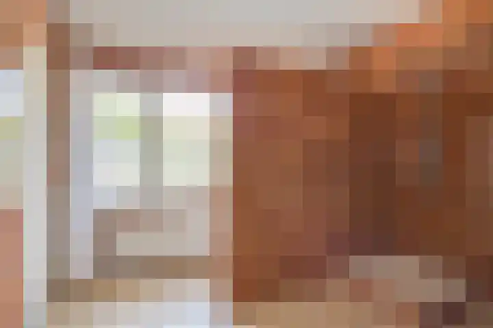 Slootsdijk 14 Ruurlo thumbnail 64