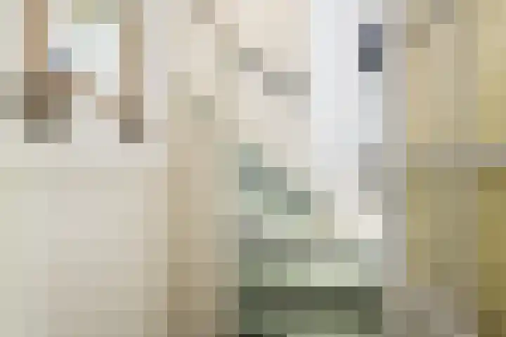 Slootsdijk 14 Ruurlo thumbnail 67