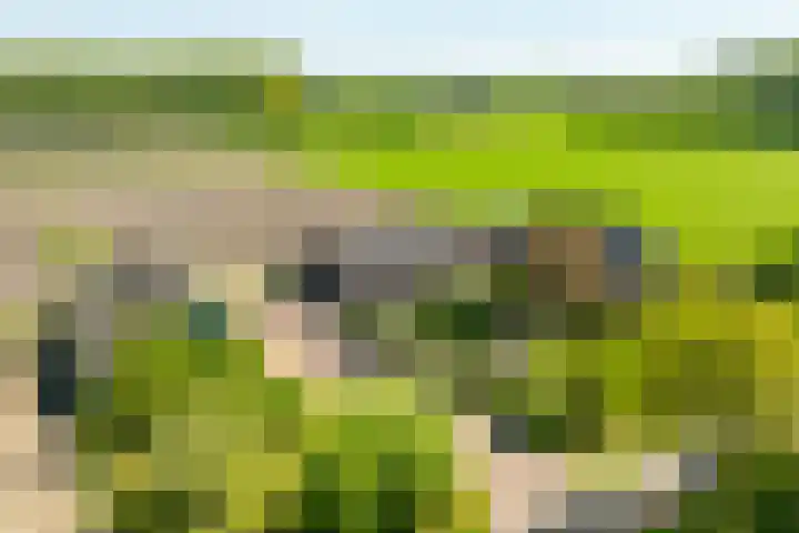 Slootsdijk 14 Ruurlo thumbnail 7