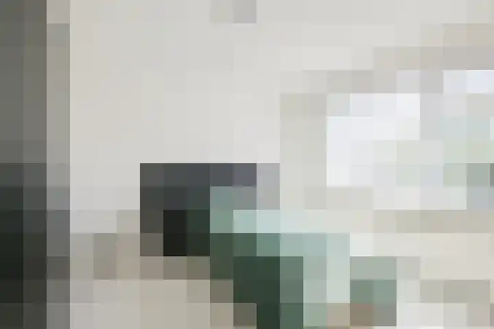 Slootsdijk 14 Ruurlo thumbnail 70