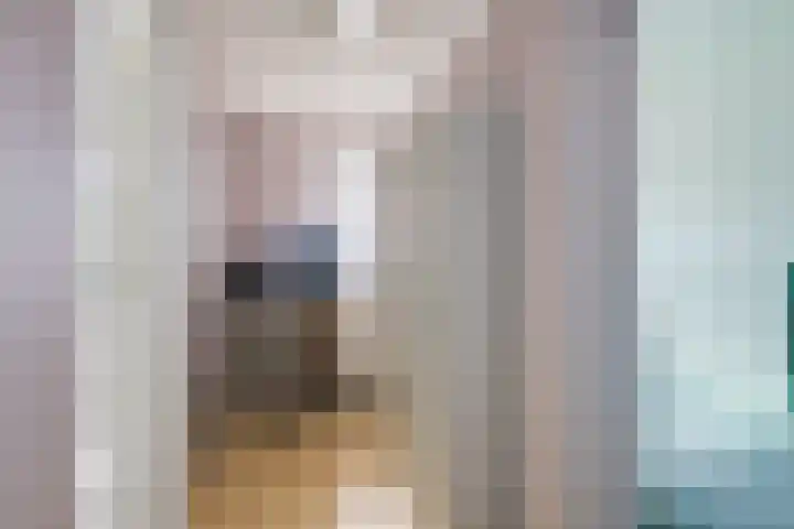 Slootsdijk 14 Ruurlo thumbnail 72
