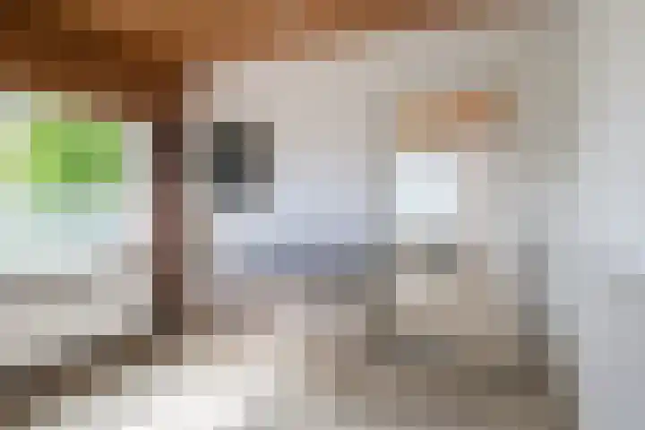 Slootsdijk 14 Ruurlo thumbnail 74