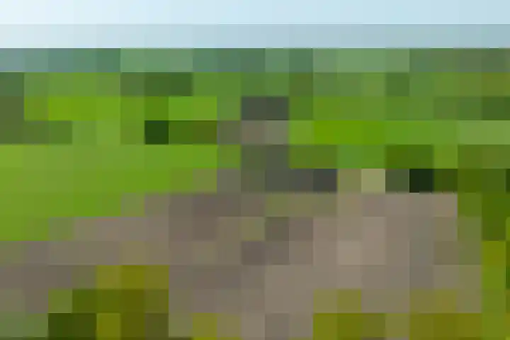 Slootsdijk 14 Ruurlo thumbnail 8