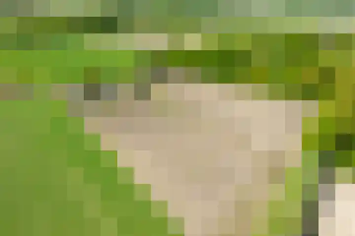 Slootsdijk 14 Ruurlo thumbnail 9