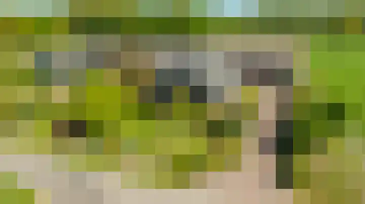 Slootsdijk 14 Ruurlo thumbnail 92