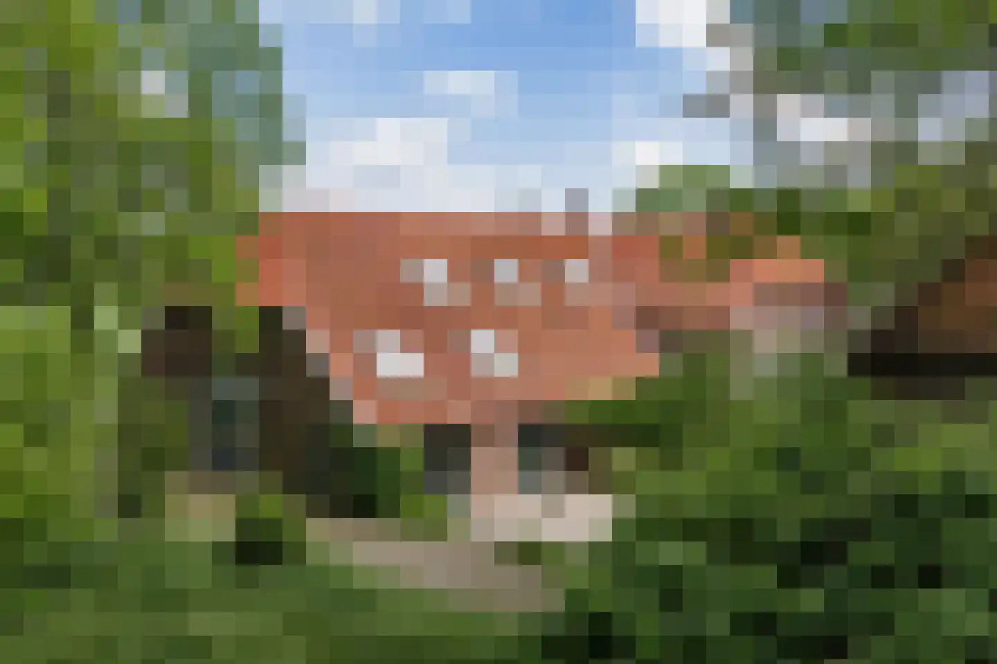 Slootsdijk 9 in Ruurlo
