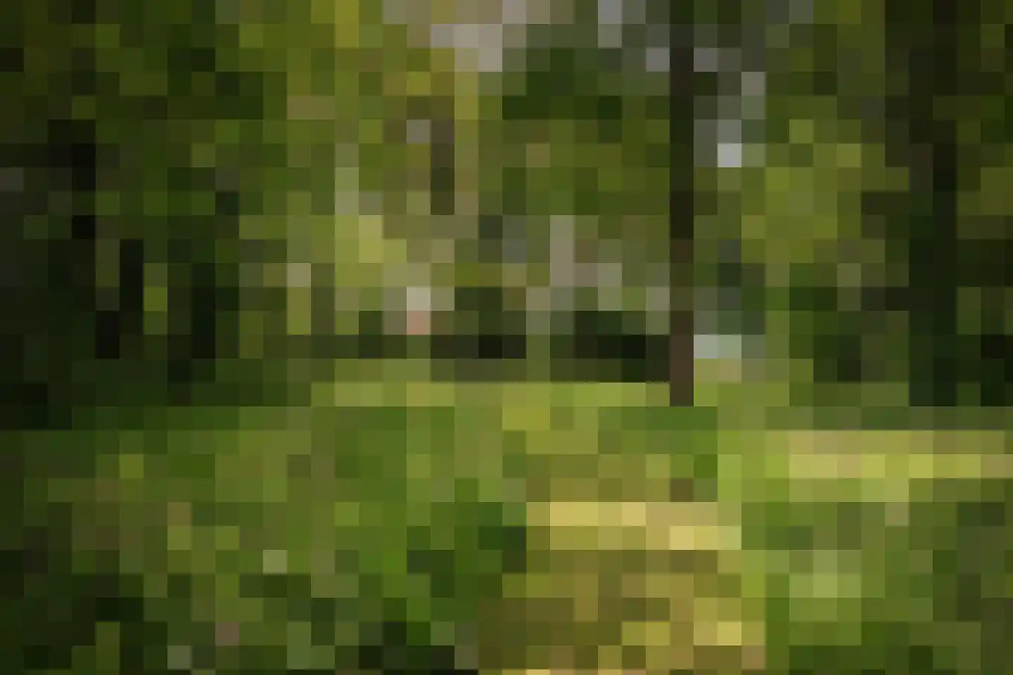 Slootsdijk 9 Ruurlo thumbnail 10
