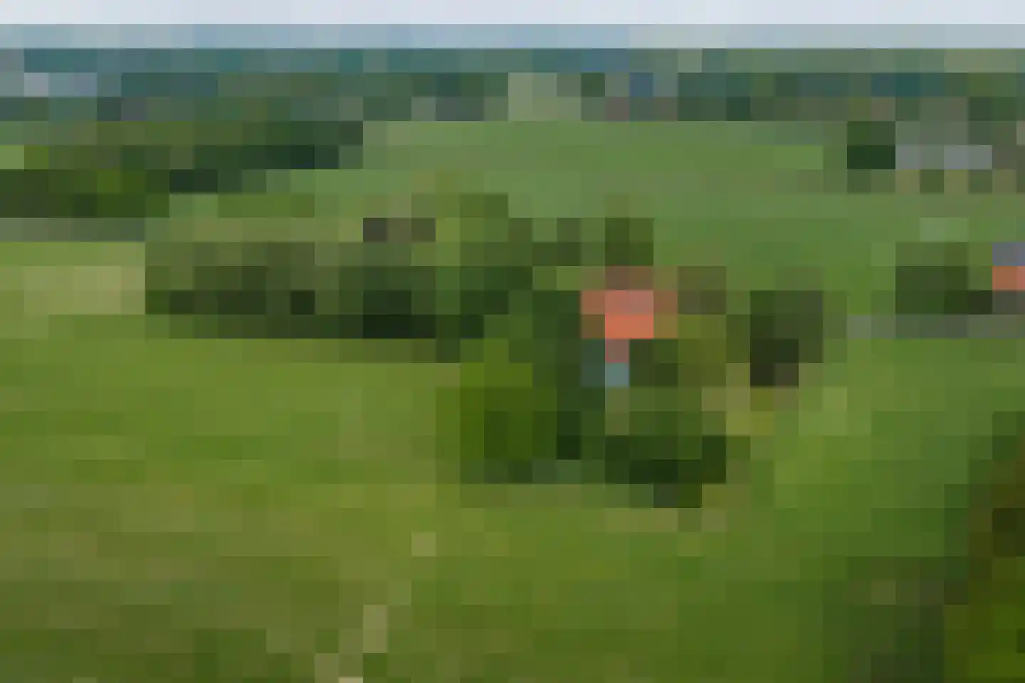 Slootsdijk 9 Ruurlo thumbnail 11