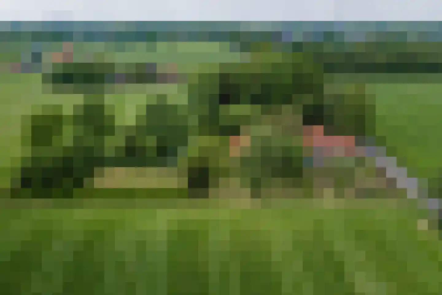 Slootsdijk 9 Ruurlo thumbnail 12