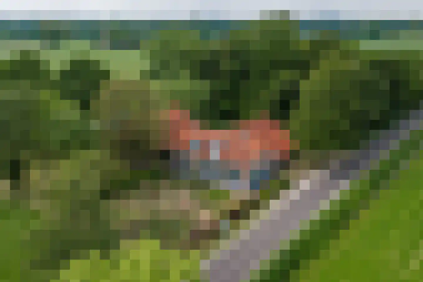 Slootsdijk 9 Ruurlo thumbnail 13