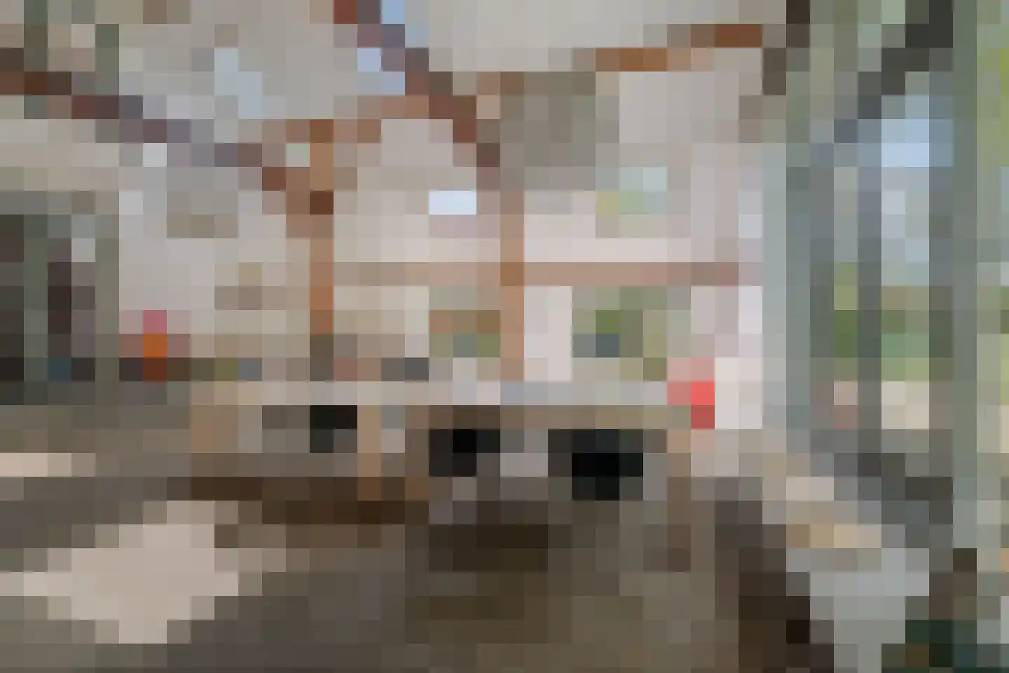 Slootsdijk 9 Ruurlo thumbnail 17