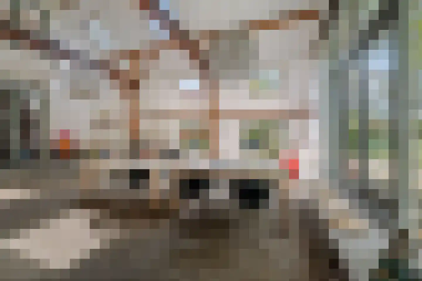 Slootsdijk 9 Ruurlo thumbnail 21