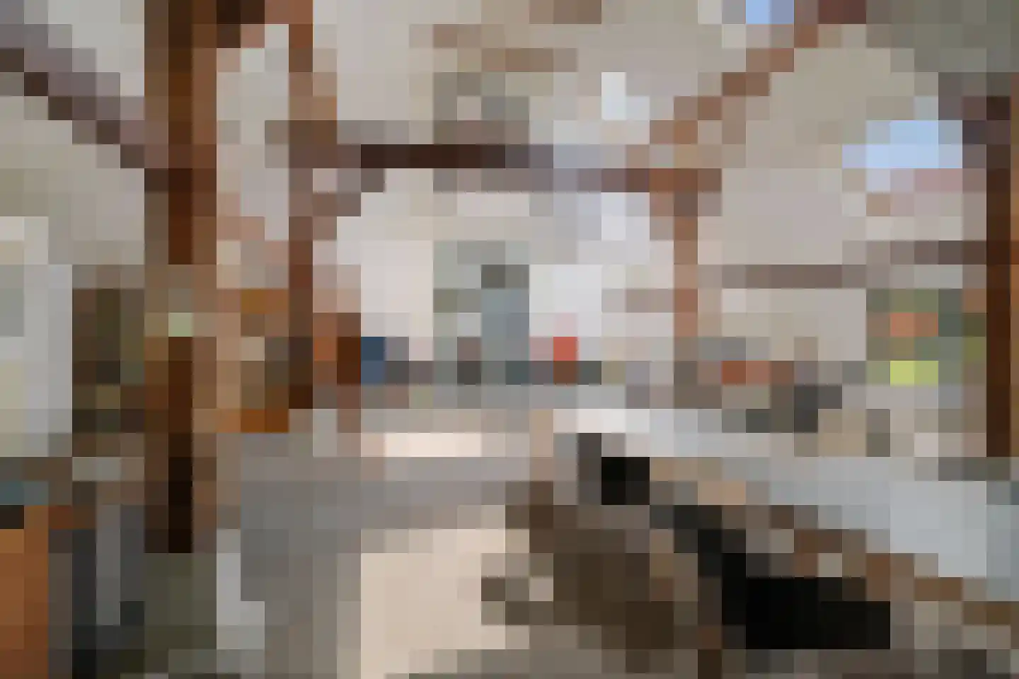 Slootsdijk 9 Ruurlo thumbnail 25