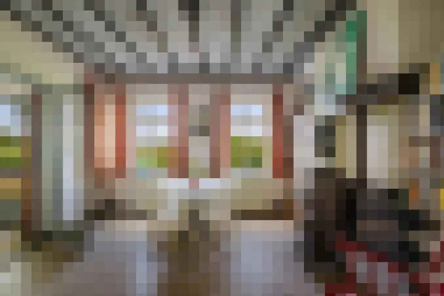 Slootsdijk 9 Ruurlo thumbnail 28