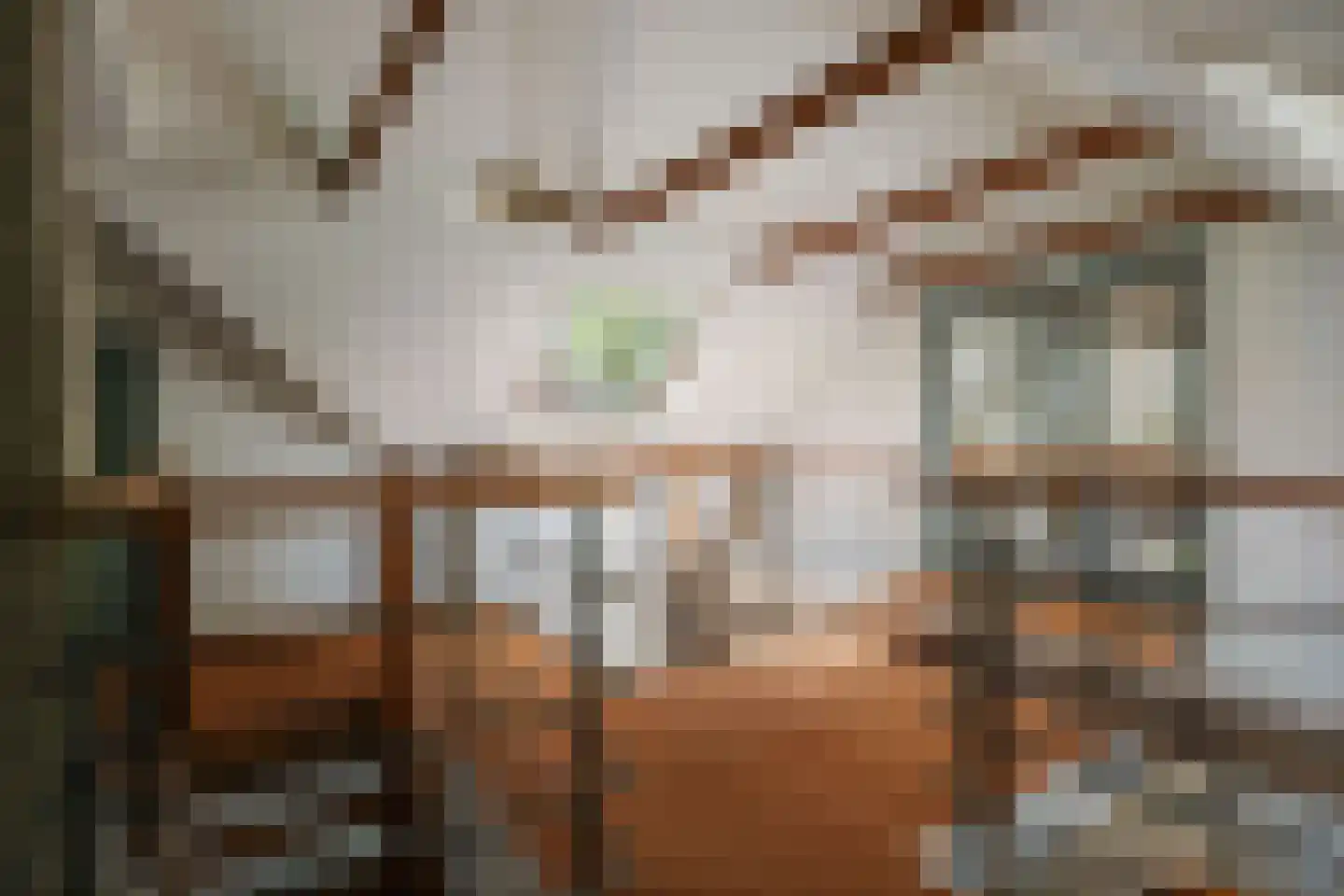 Slootsdijk 9 Ruurlo thumbnail 35