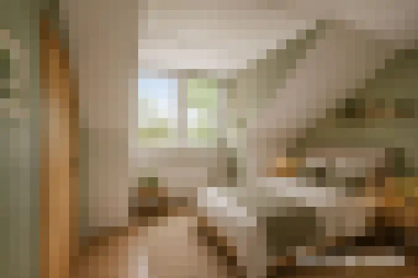 Slootsdijk 9 Ruurlo thumbnail 47