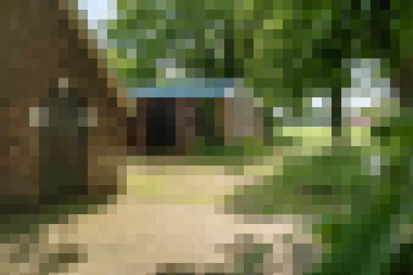Slootsdijk 9 Ruurlo thumbnail 48