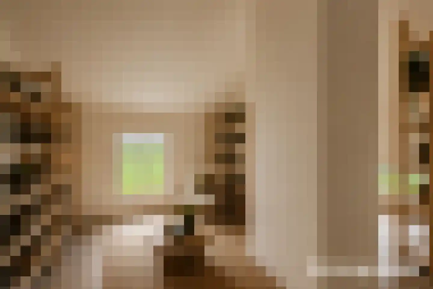 Slootsdijk 9 Ruurlo thumbnail 49