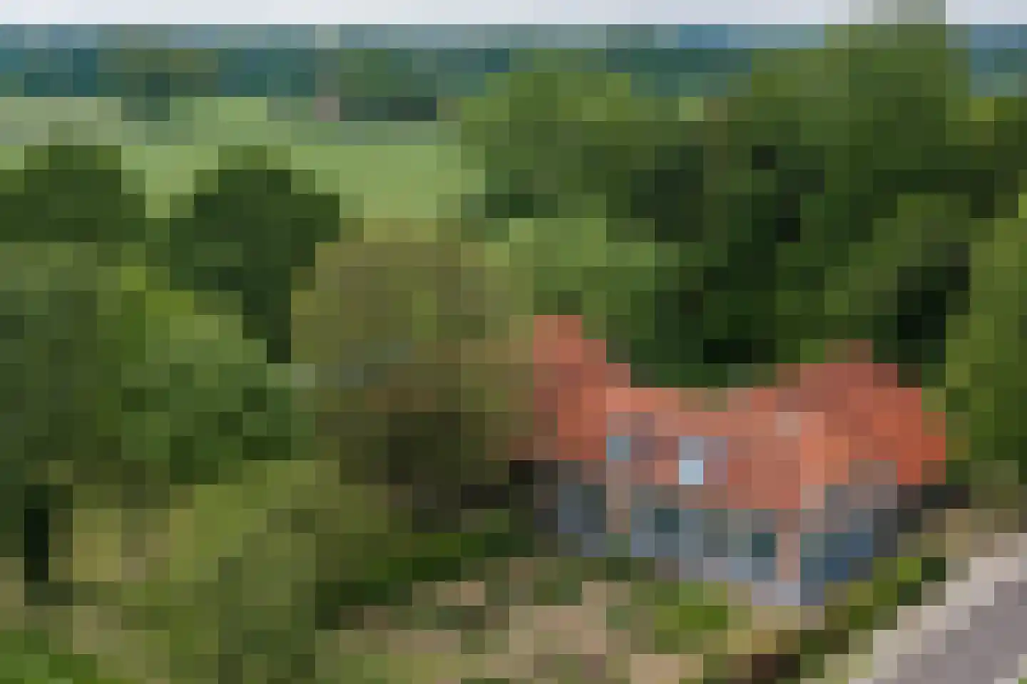 Slootsdijk 9 Ruurlo thumbnail 5