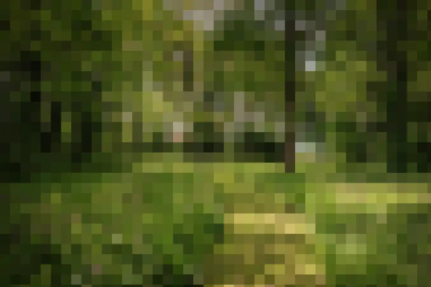 Slootsdijk 9 Ruurlo thumbnail 5