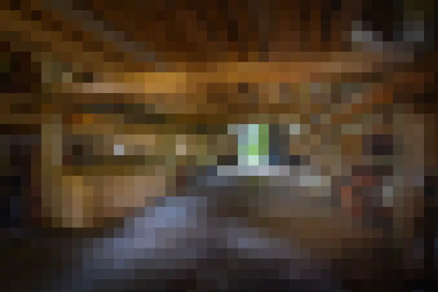 Slootsdijk 9 Ruurlo thumbnail 51