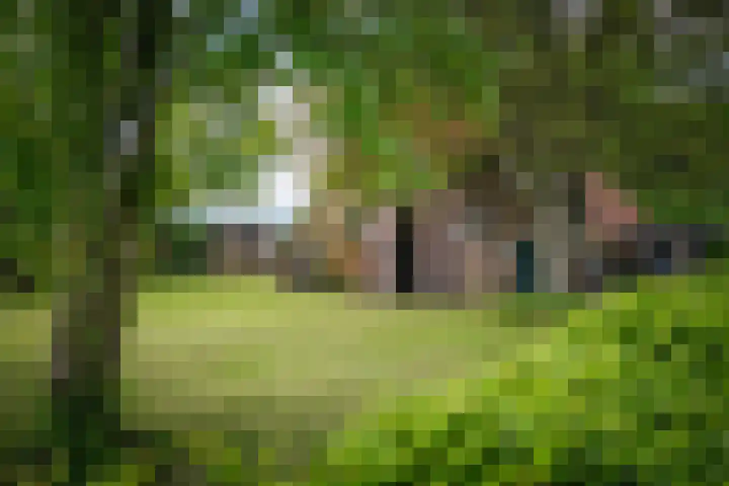Slootsdijk 9 Ruurlo thumbnail 52