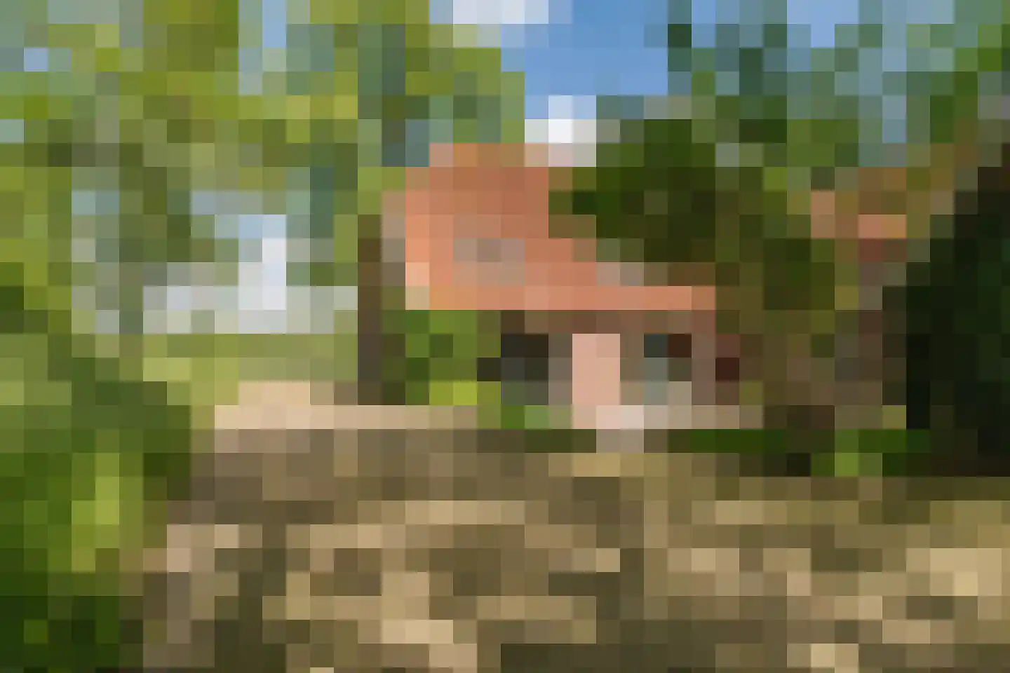 Slootsdijk 9 Ruurlo thumbnail 54