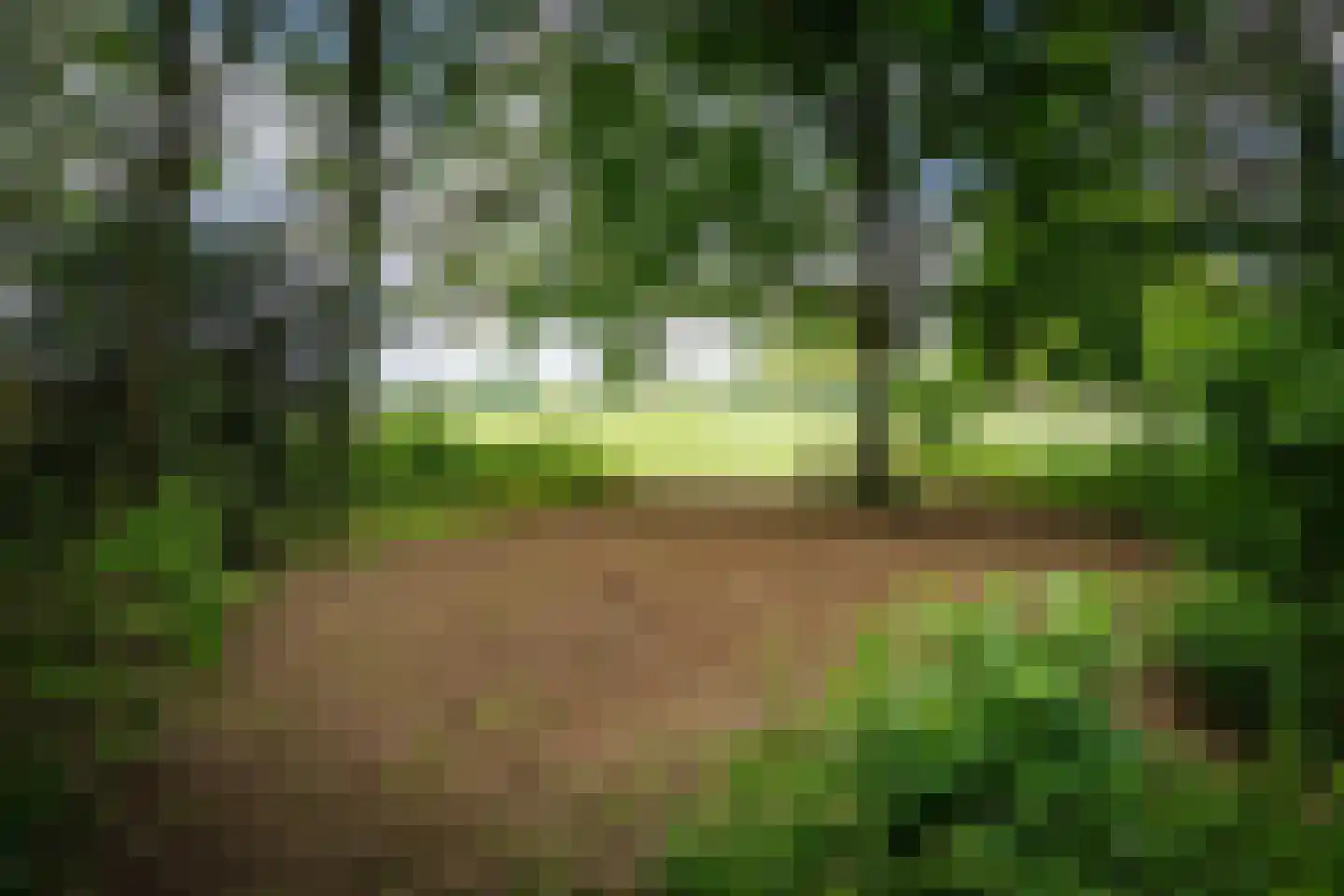 Slootsdijk 9 Ruurlo thumbnail 57