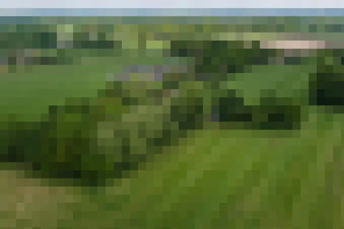 Slootsdijk 9 Ruurlo thumbnail 58