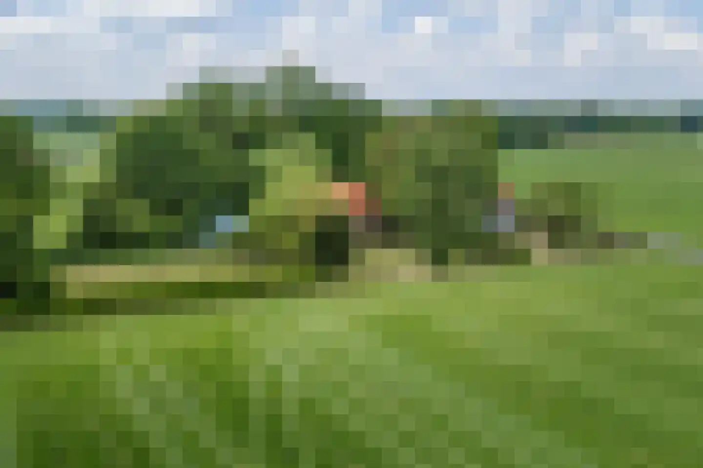 Slootsdijk 9 Ruurlo thumbnail 59
