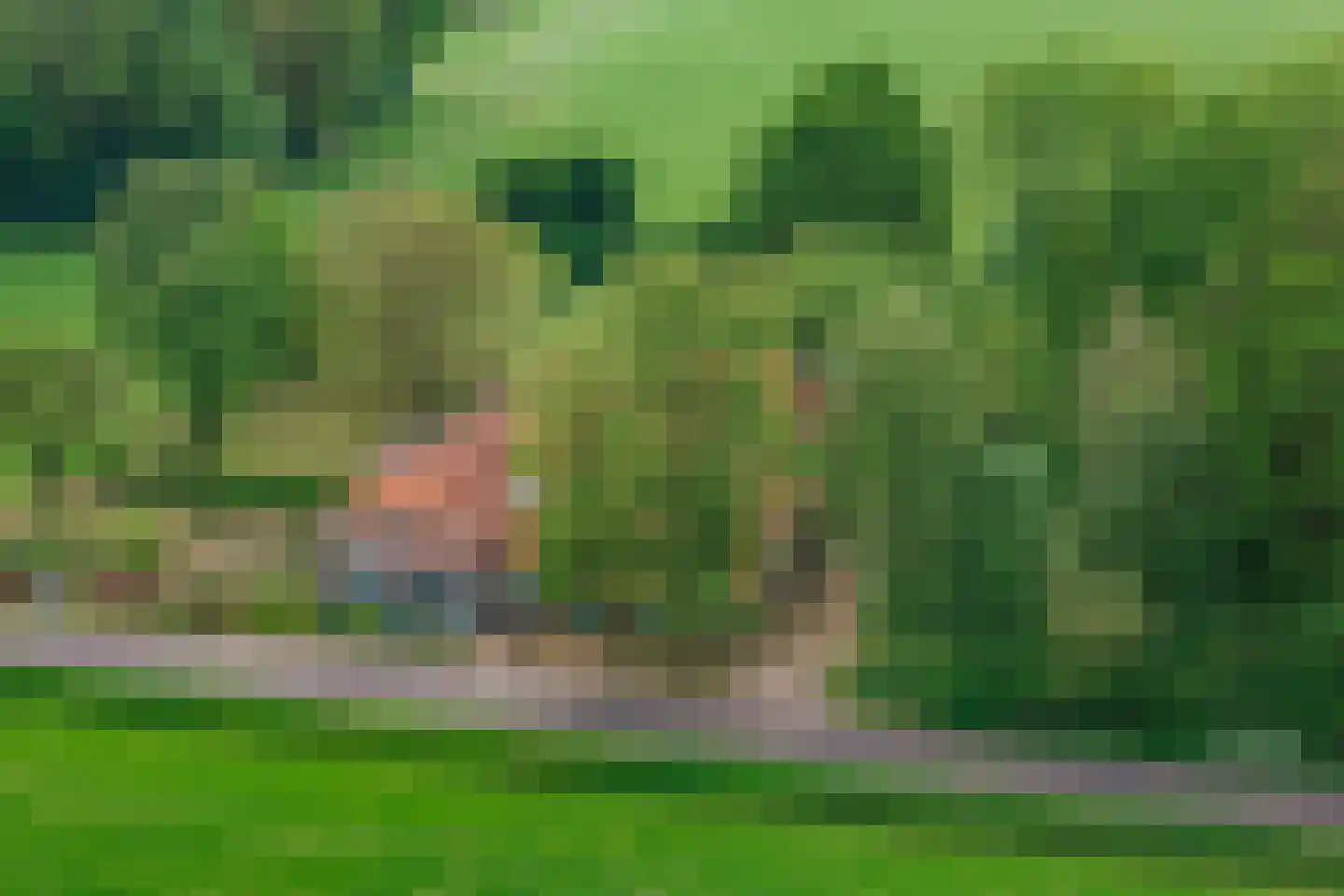 Slootsdijk 9 Ruurlo thumbnail 6