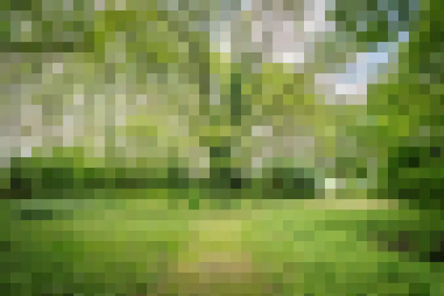 Slootsdijk 9 Ruurlo thumbnail 66