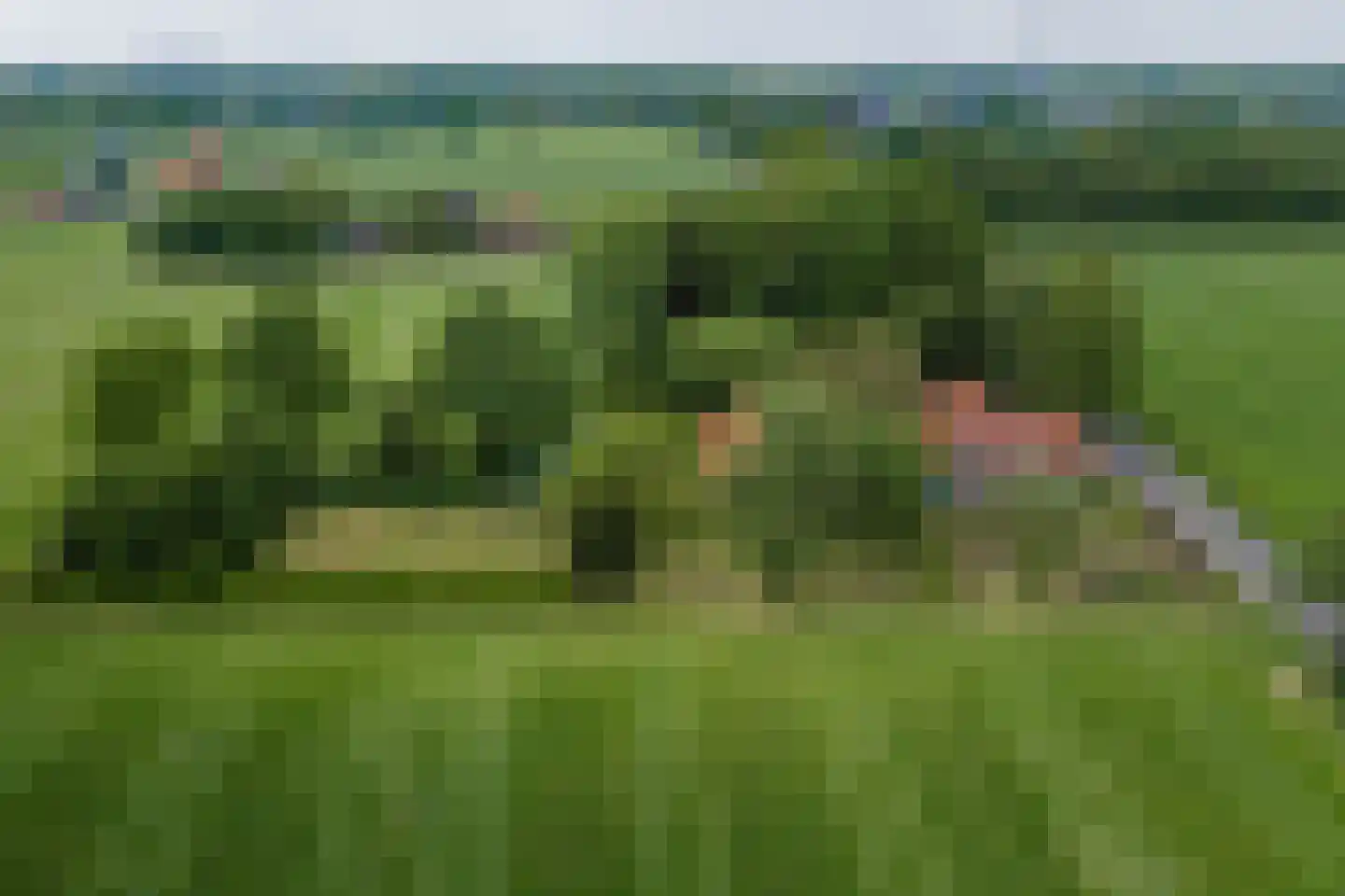 Slootsdijk 9 Ruurlo thumbnail 7