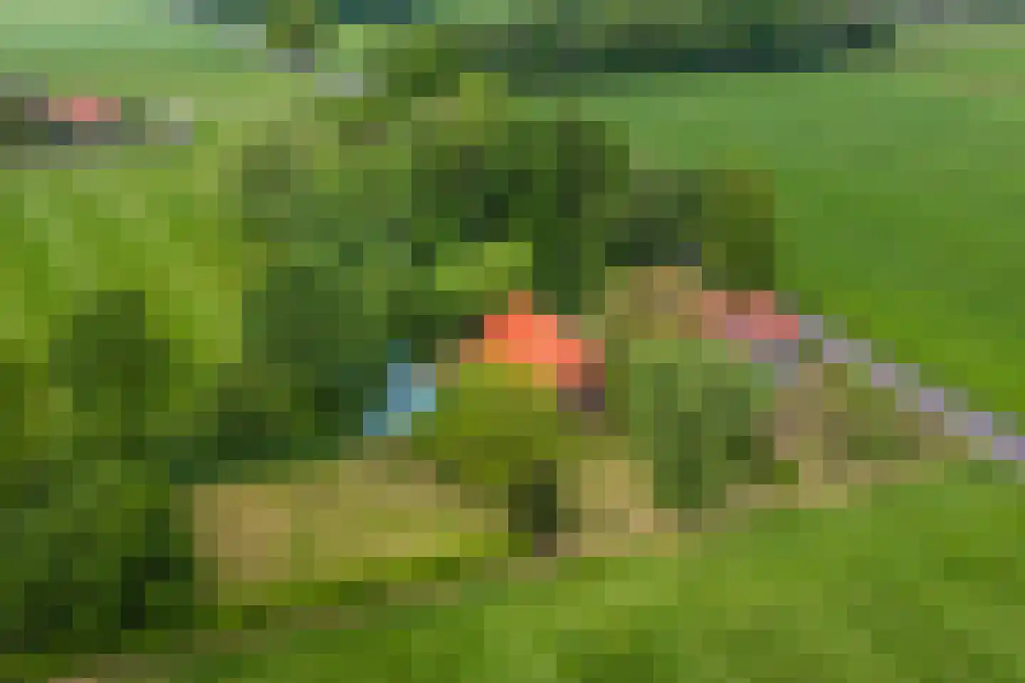 Slootsdijk 9 Ruurlo thumbnail 7