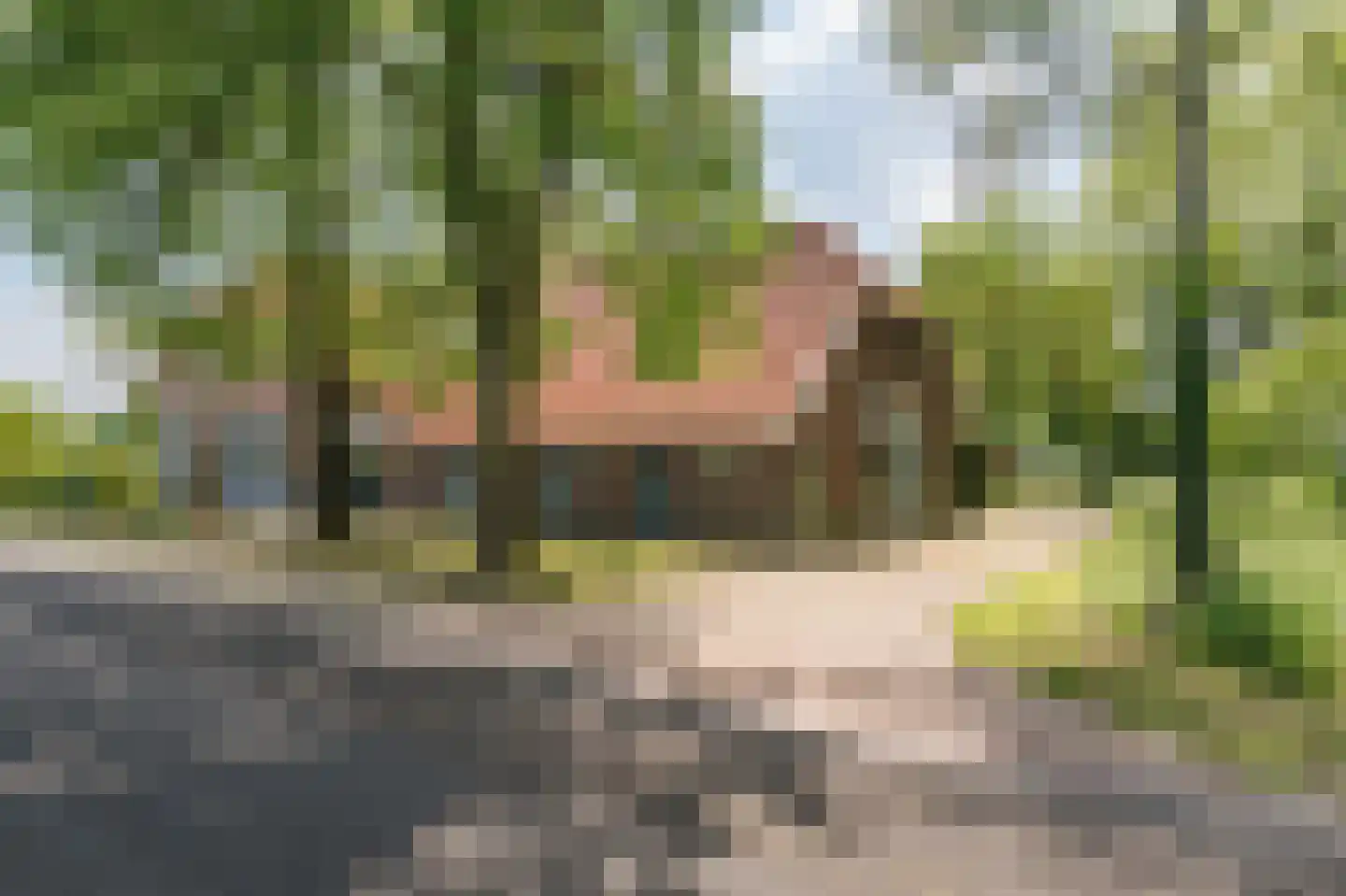 Slootsdijk 9 Ruurlo thumbnail 9