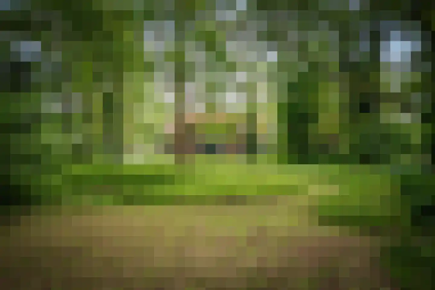 Slootsdijk 9 Ruurlo thumbnail 9