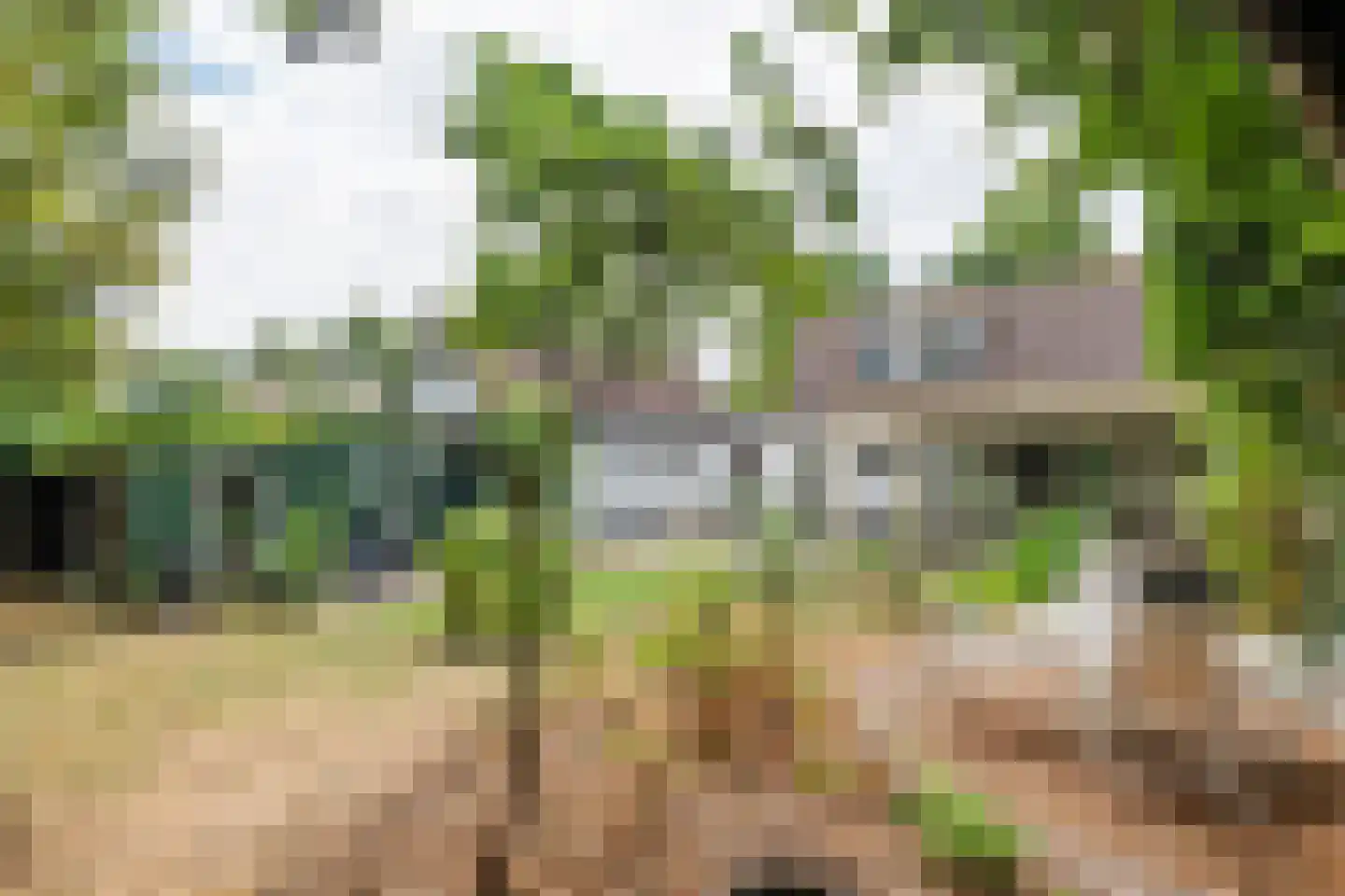 Slootsestraat 2 A Puiflijk thumbnail 25