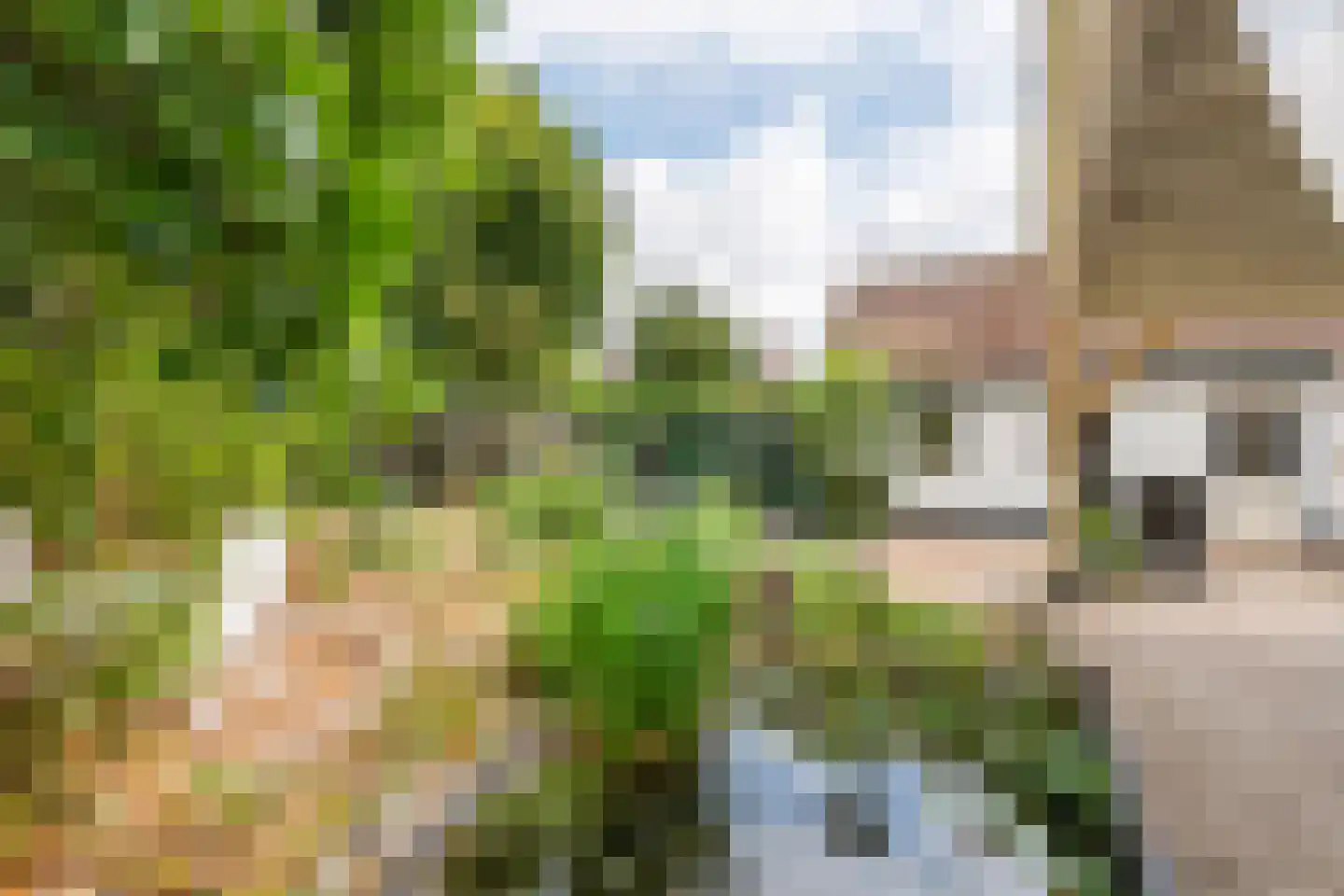 Slootsestraat 2 A Puiflijk thumbnail 27