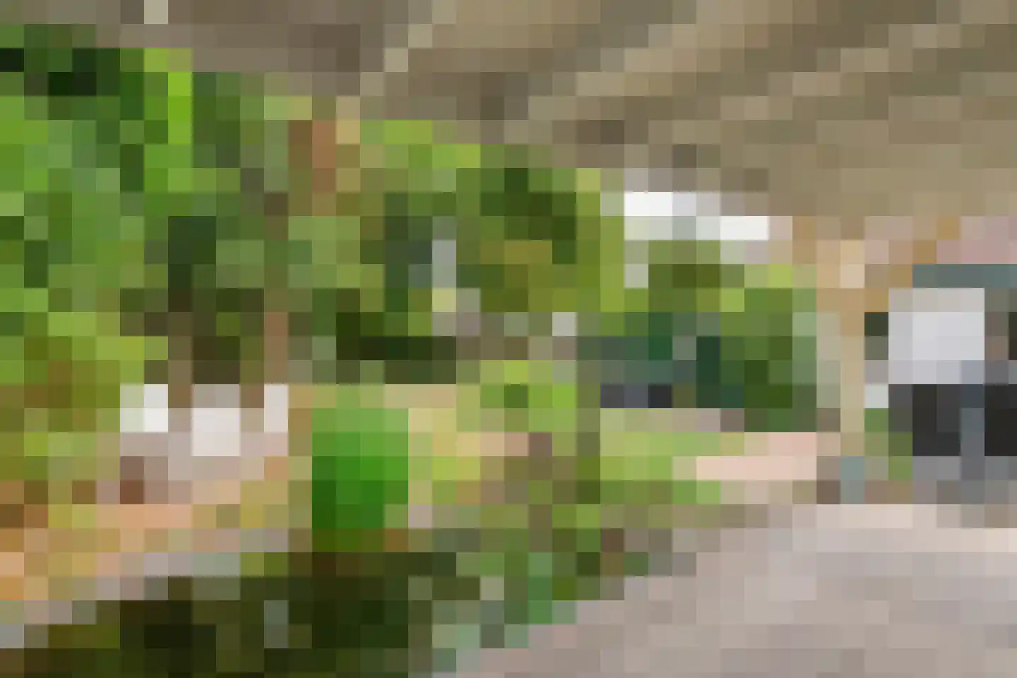Slootsestraat 2 A Puiflijk thumbnail 28