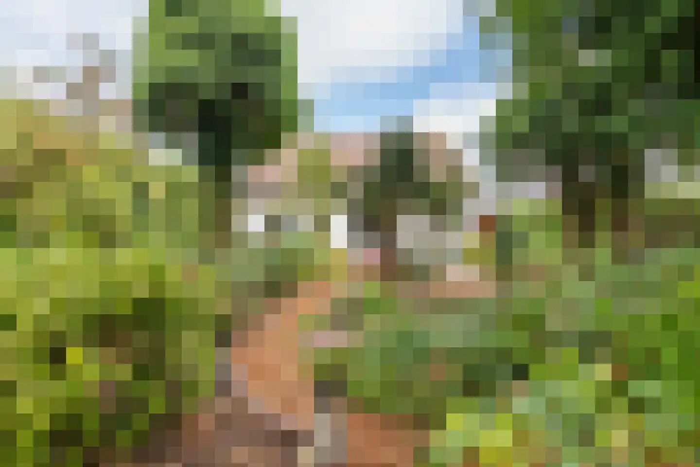 Slootsestraat 2 A Puiflijk thumbnail 32