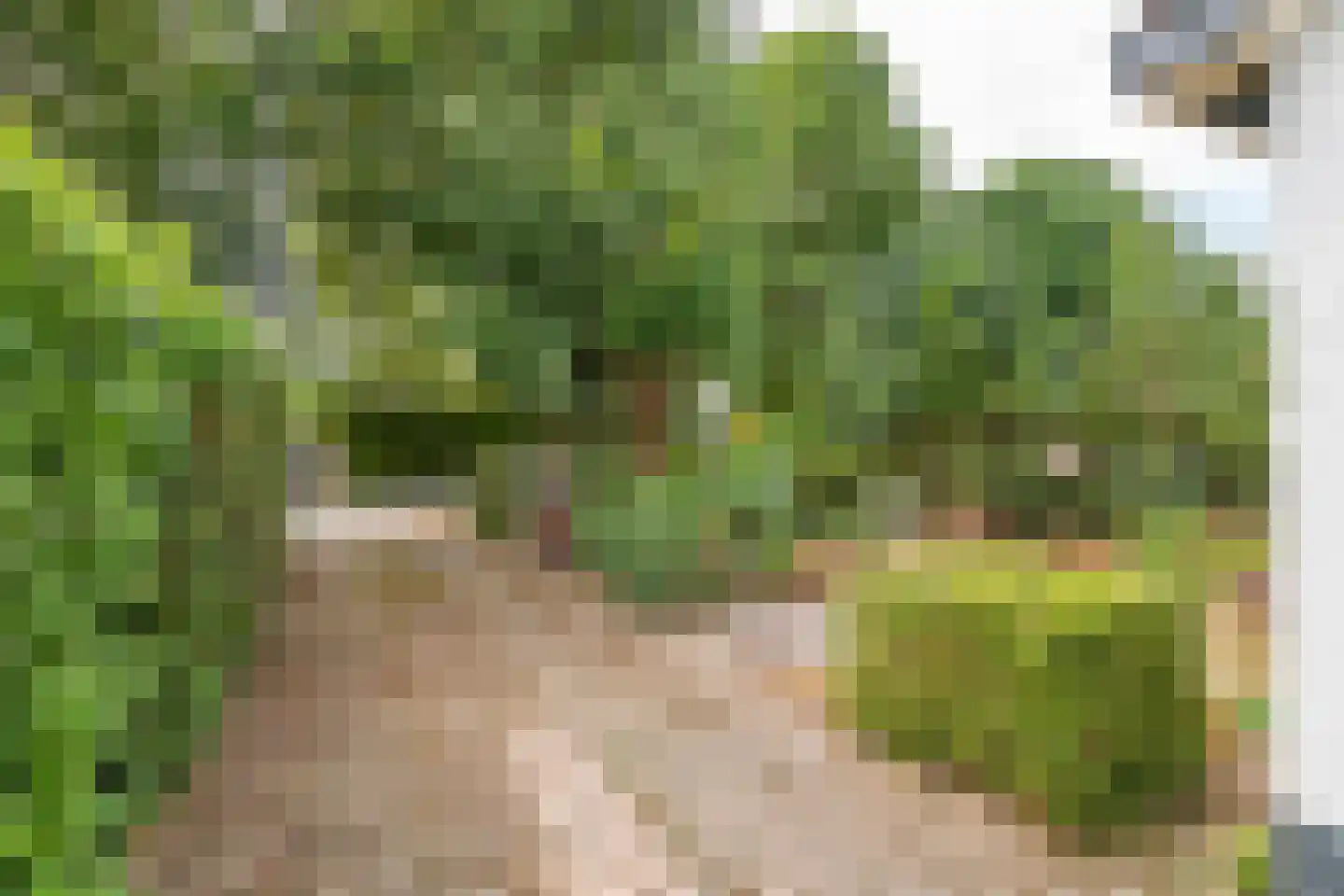 Slootsestraat 2 A Puiflijk thumbnail 33