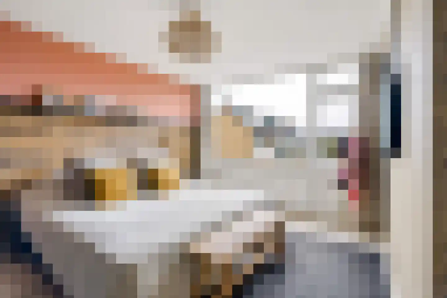 Slootweg 8 Huizen thumbnail 23