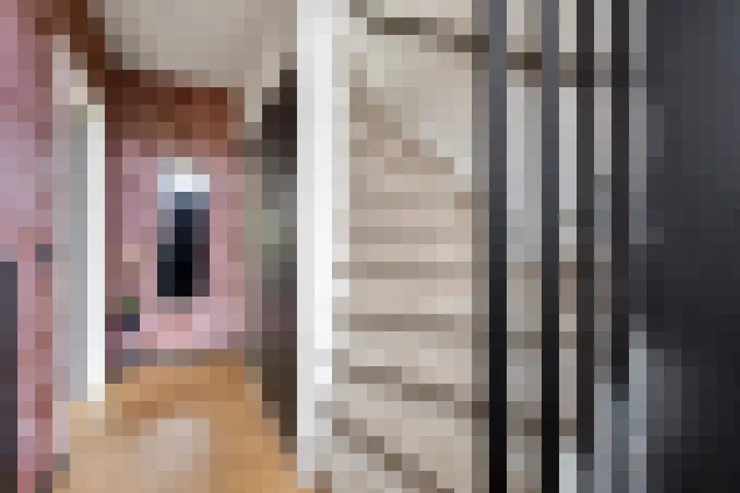 Slootweg 8 Huizen thumbnail 4