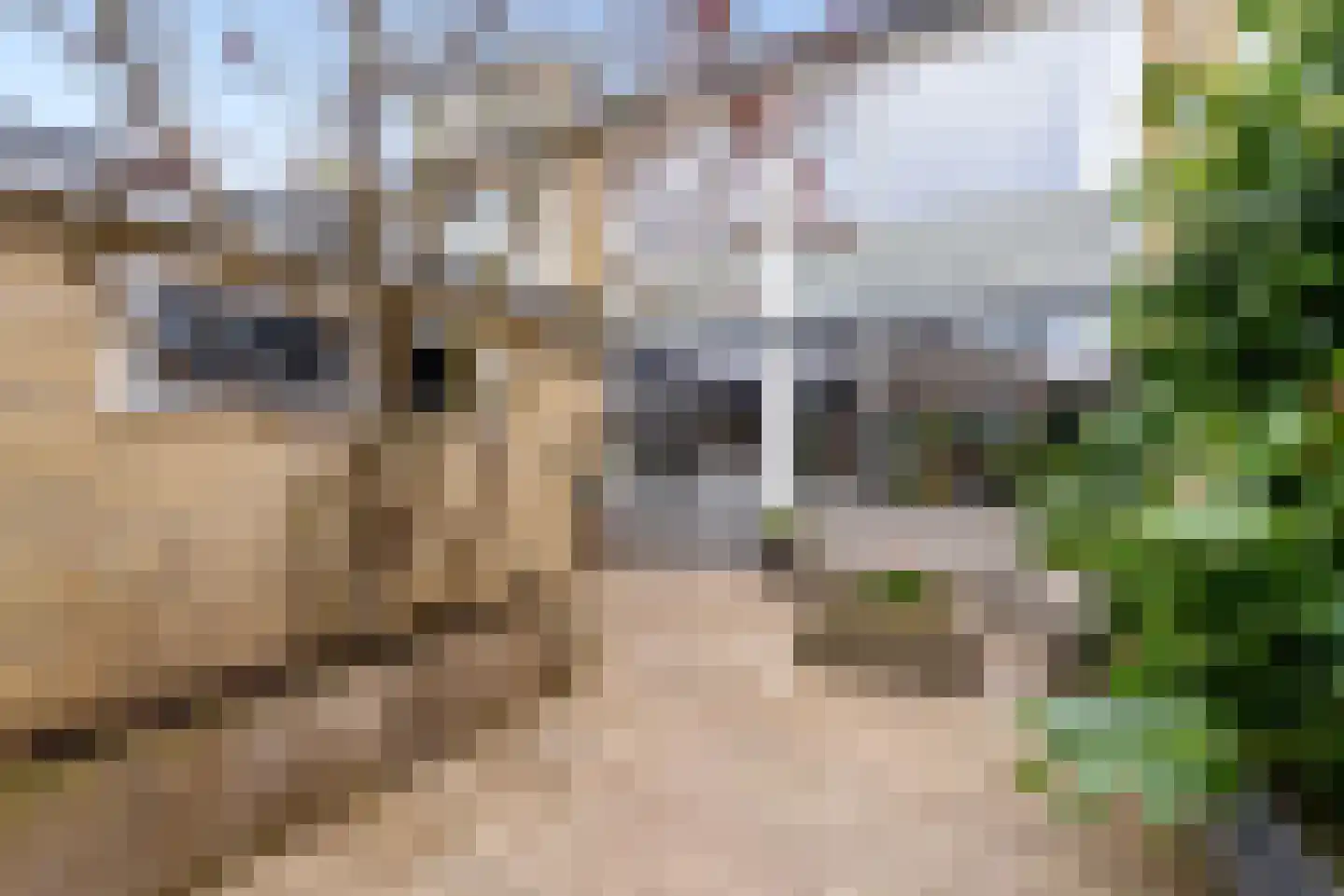 Slootweg 8 Huizen thumbnail 40