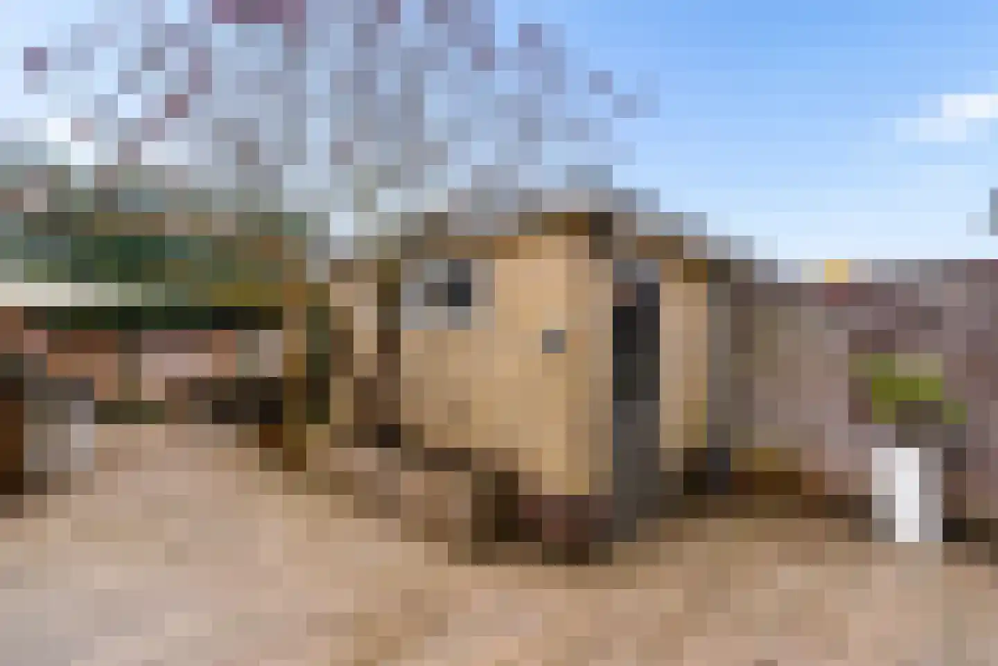 Slootweg 8 Huizen thumbnail 44