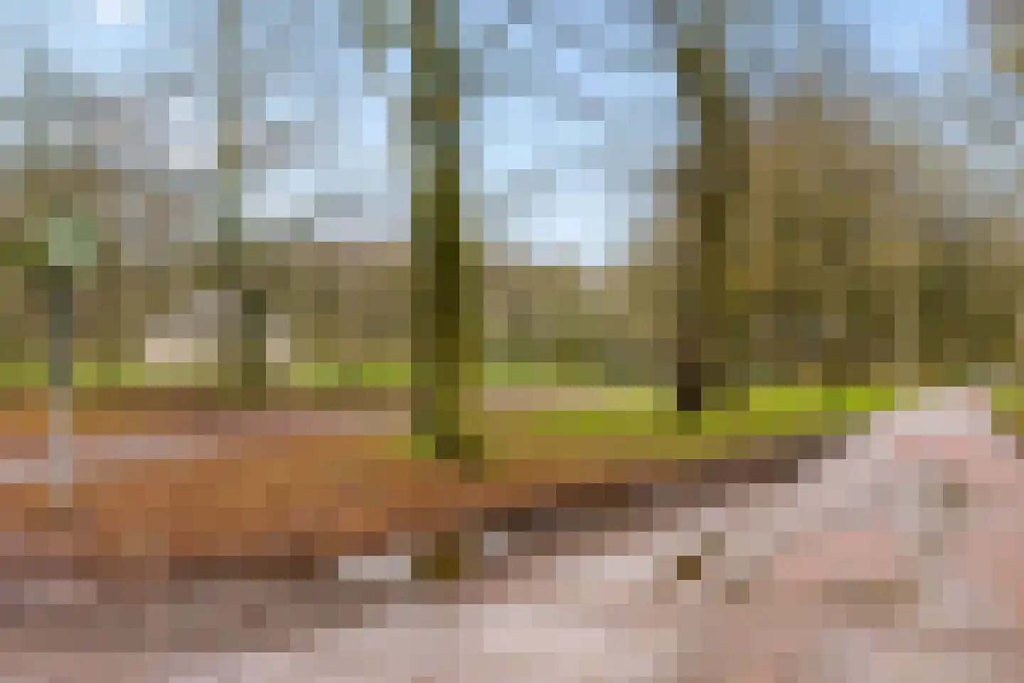 Slootweg 8 Huizen thumbnail 54