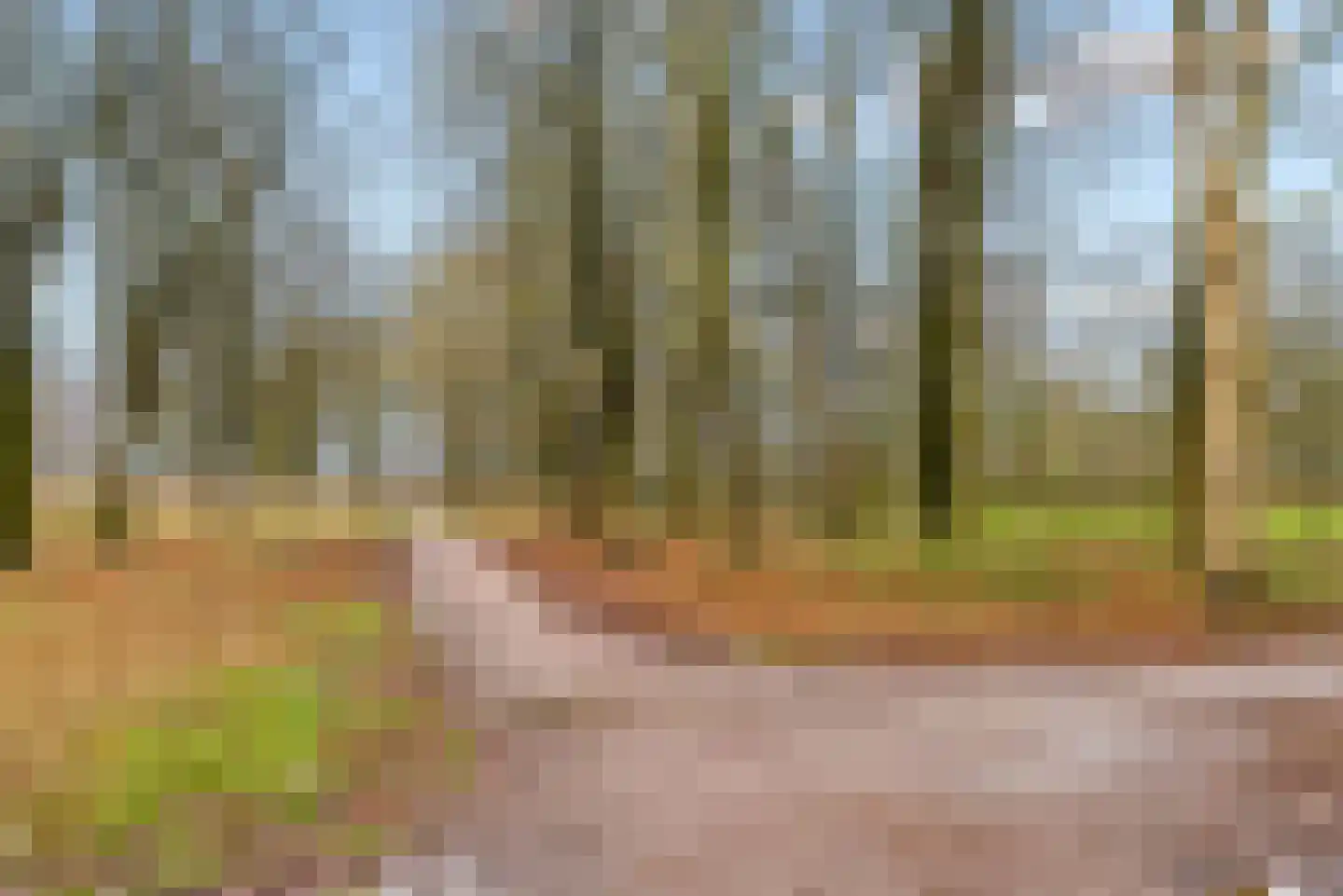 Slootweg 8 Huizen thumbnail 55