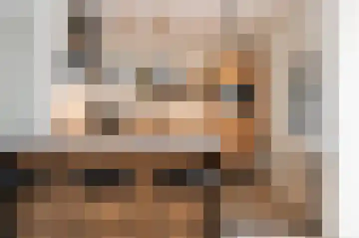 Slooyerbroek 14 Horst thumbnail 12